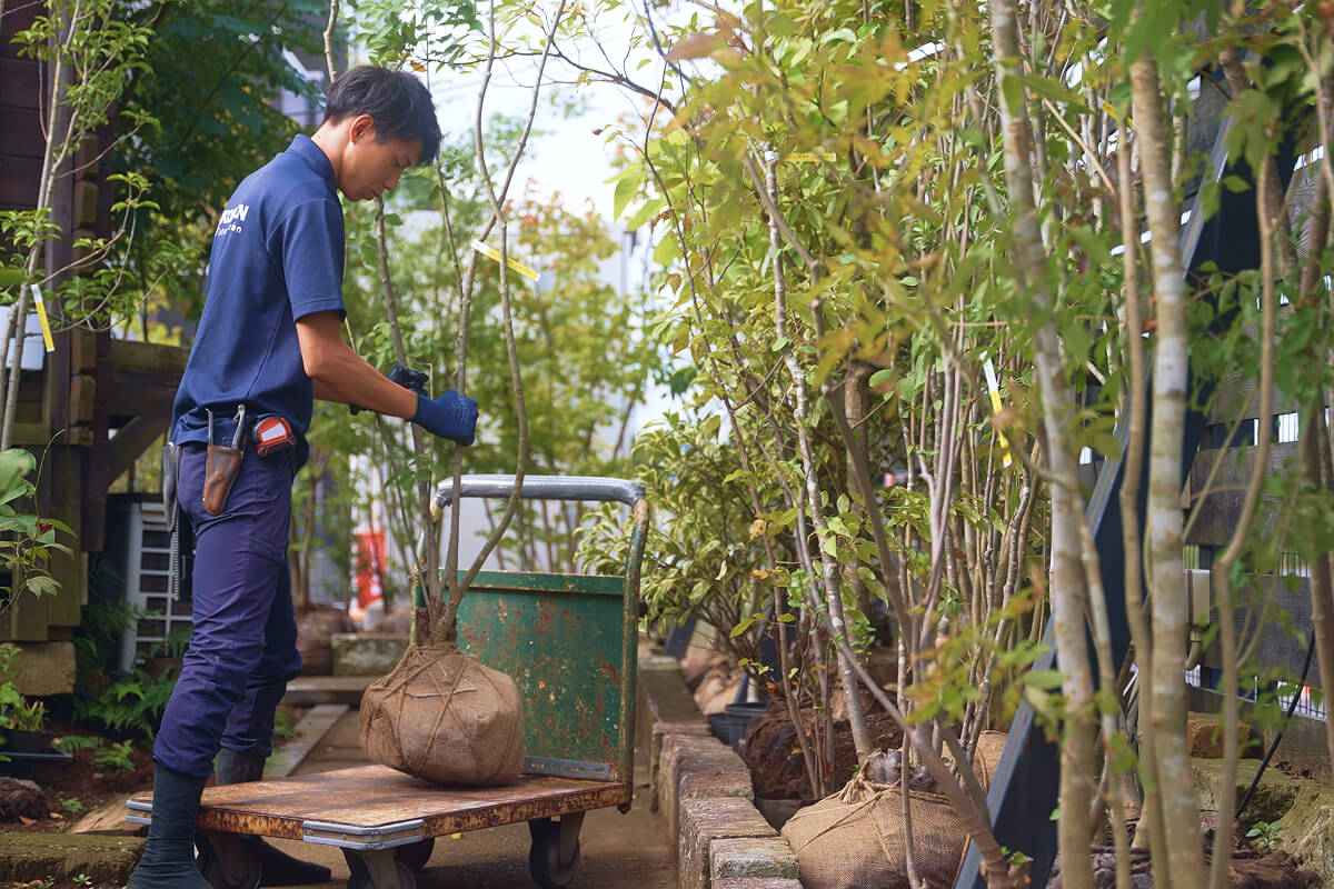 時が経つに連れて更に素敵な庭造りのイメージ画像