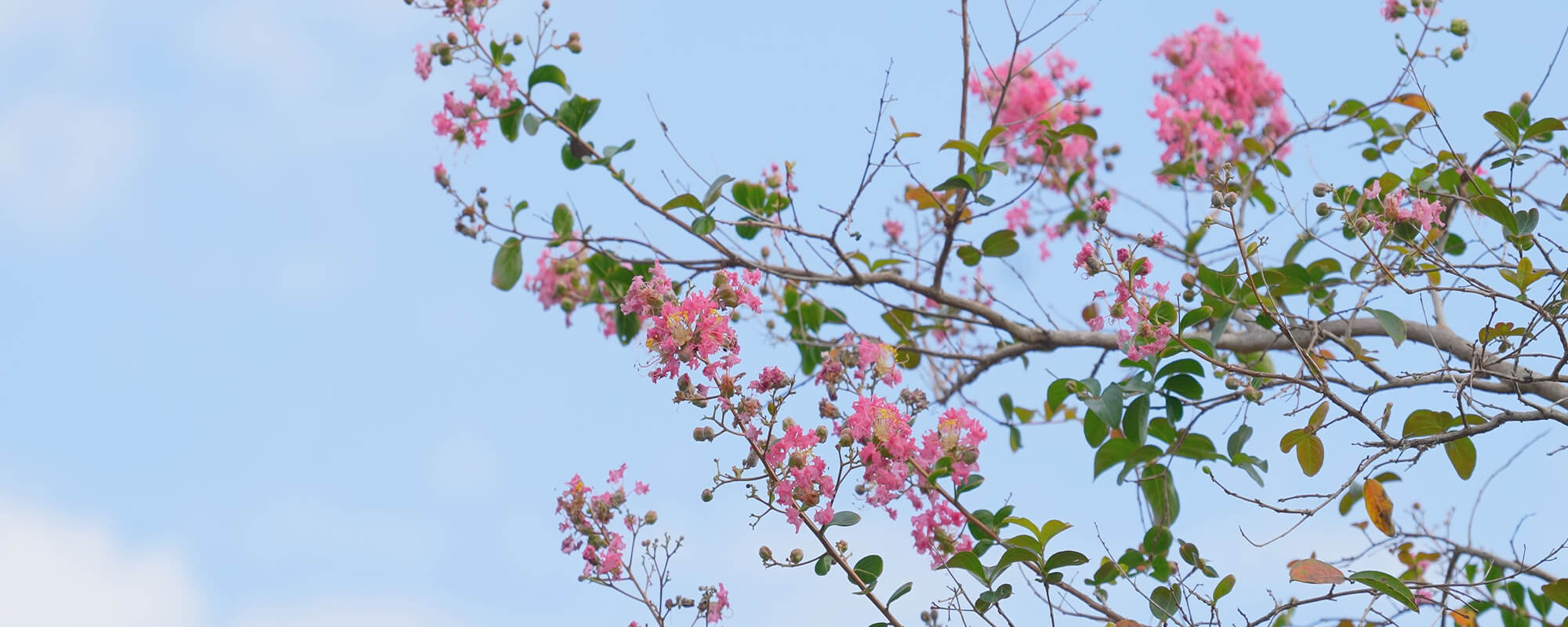 お問い合わせのイメージ画像