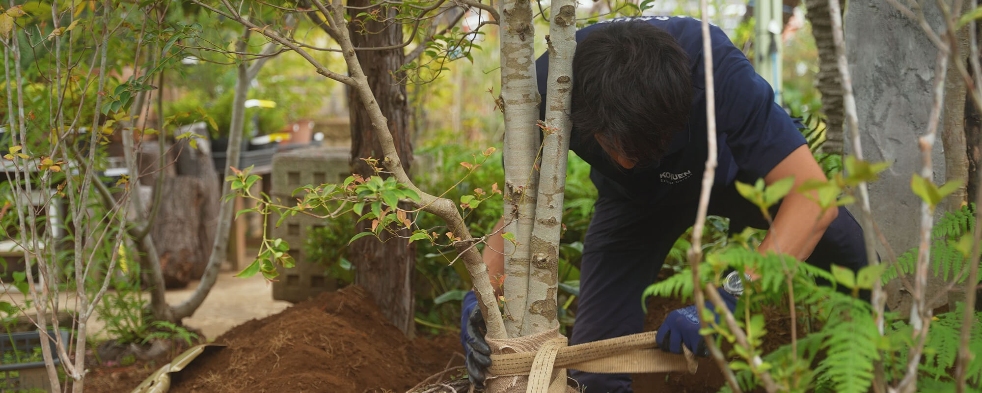 求人情報のイメージ画像
