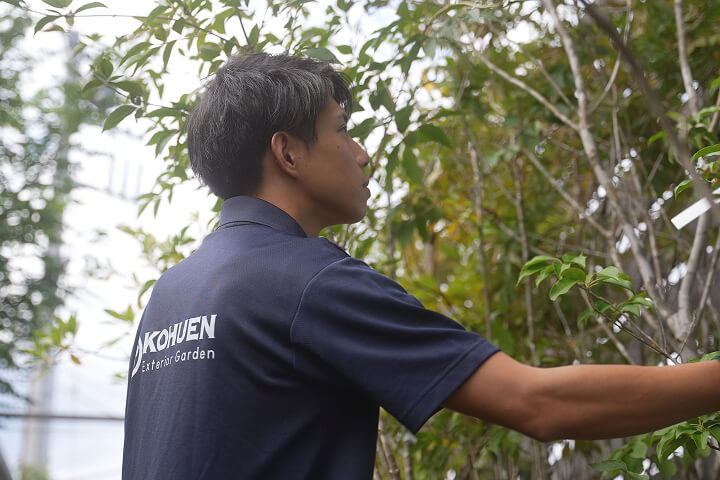 お庭のメンテナンスのイメージ画像