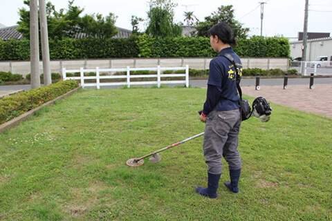 草刈り・芝刈りのイメージ画像