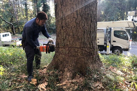 伐採のイメージ画像