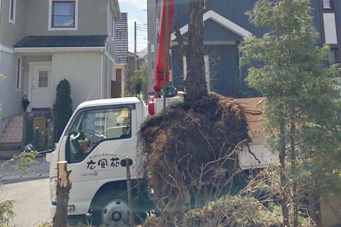 抜根のイメージ画像