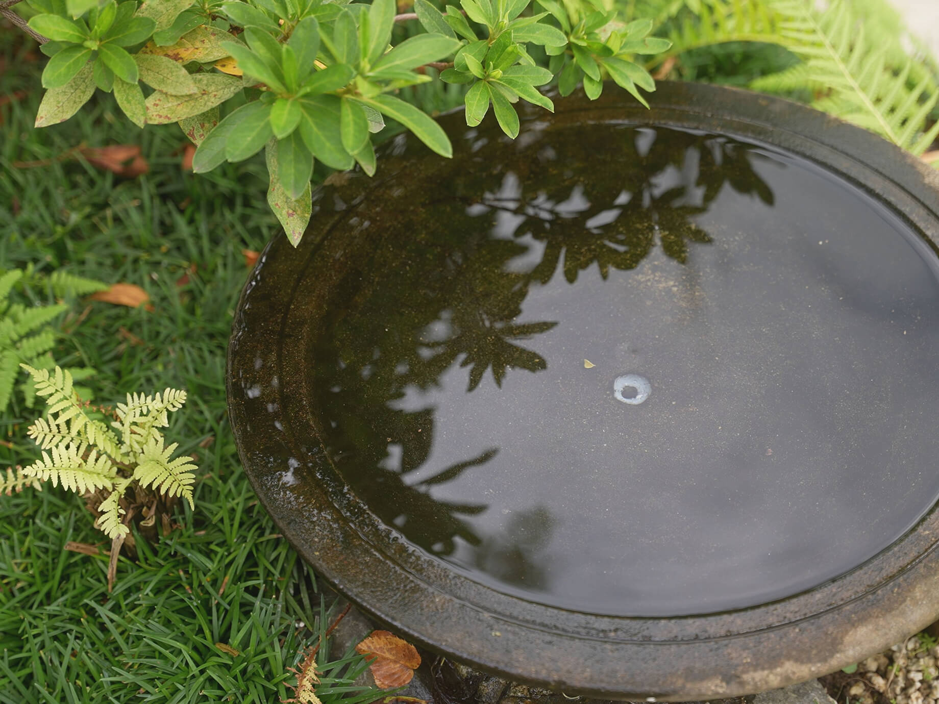 私たちについてのイメージ画像