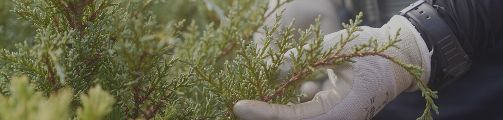 対応エリアのイメージ画像